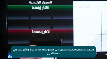 أسعار الأسهم المحلية تسجل أدنى مستوياتها منذ الإدراج وتأثير ذلك على المستثمرين